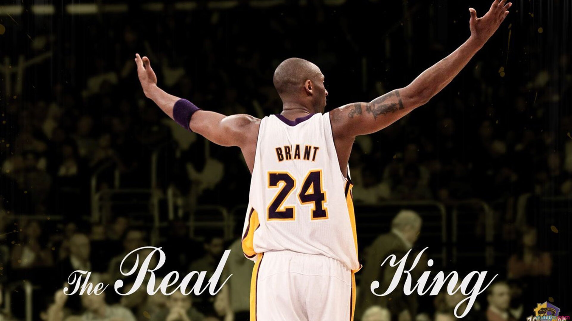 训练方法多样化提升竞技水平，竞技能力训练