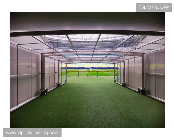 体育场馆夜间多功能活动成城市新名片